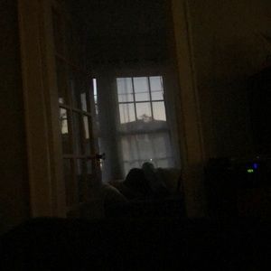 Meet your Posher, Conor